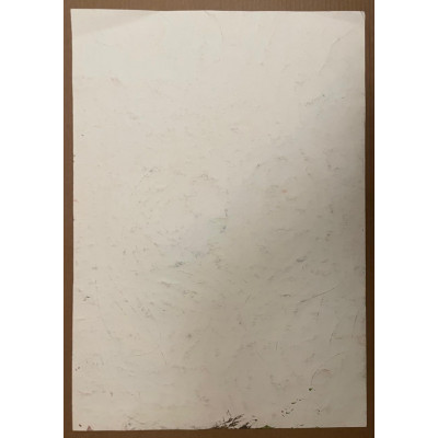 87 год лицо бородатого мужчины