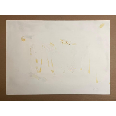 Гречина 2010 год