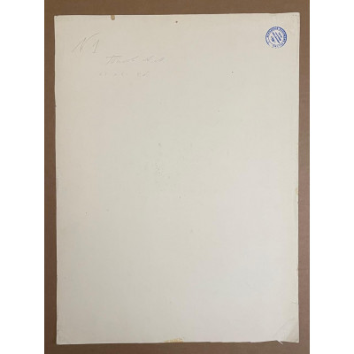 Цветы с видом из окна