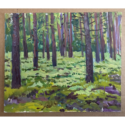 Папоротник в лесу