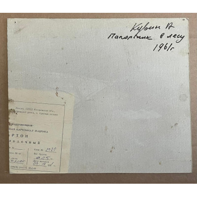 Папоротник в лесу