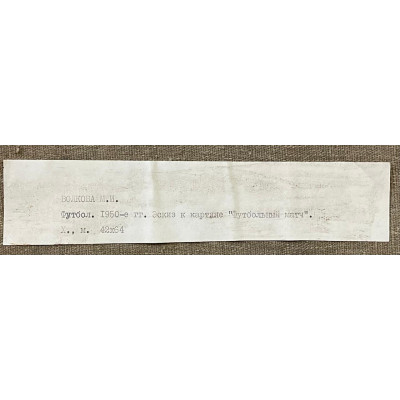 Футбольный матч