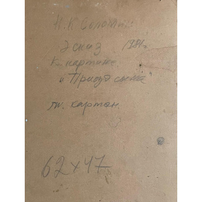 Приезд сына