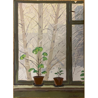 Вид из окна