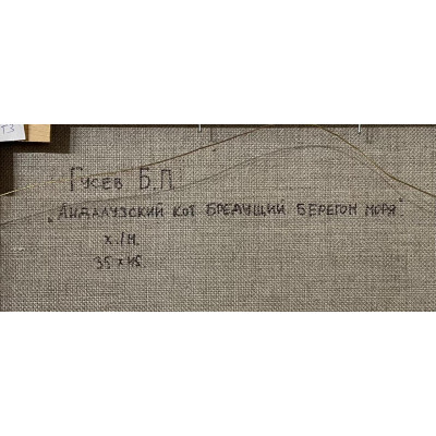 Андалузский кот бредущий берегом моря