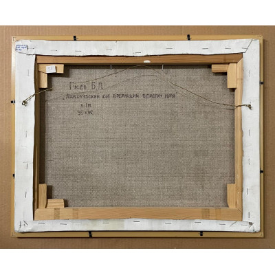 Андалузский кот бредущий берегом моря