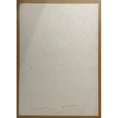 Полевой букет - 2 работы