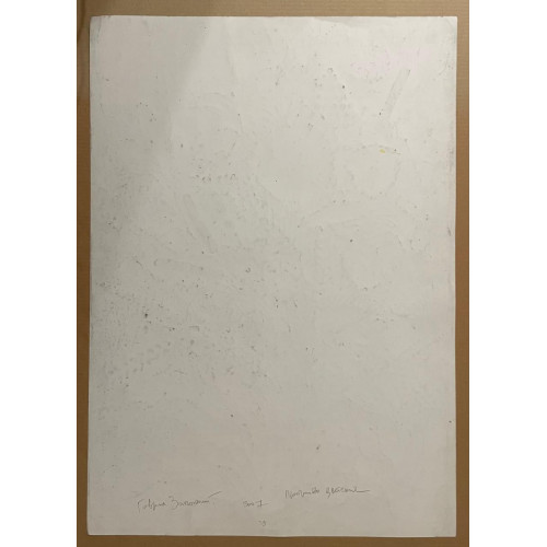 Картина Полевой букет - 2 работы, художник Заполянский Гавриил Аронович