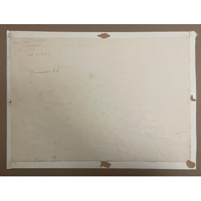 Дом Клавдии. Сирень цветёт