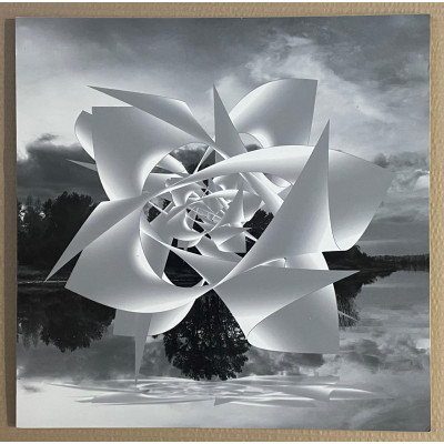 Роза над рекой (фотоколлаж)