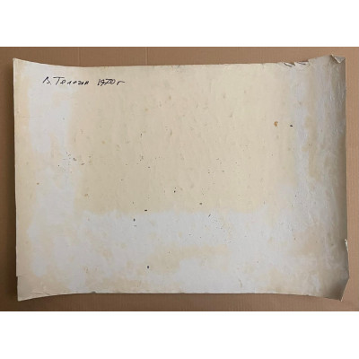 Сосновый лес 1970 г