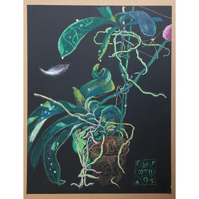 Цветок в горшке