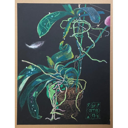 Картина Цветок в горшке, художник Спасоломская Татьяна Николаевна