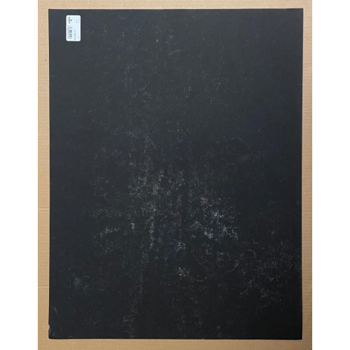 Картина Цветок в горшке, художник Спасоломская Татьяна Николаевна