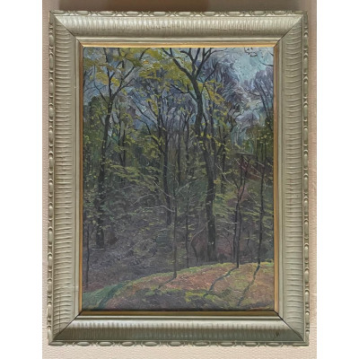 Первая зелень