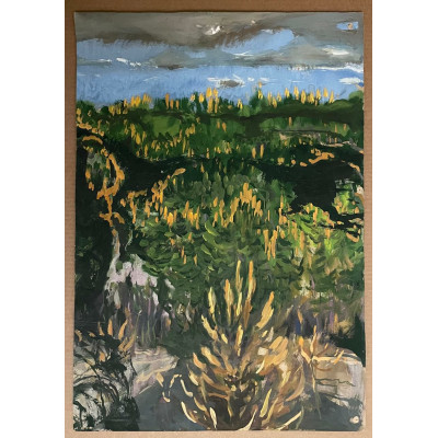 Красота севера (2 работы)