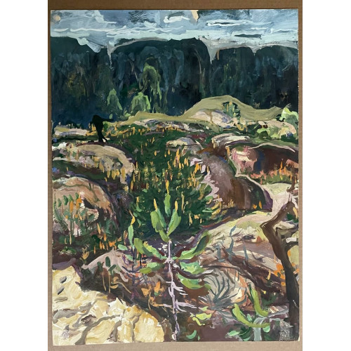 Картина Красота севера (2 работы), художник Скок Владислав Антонович 