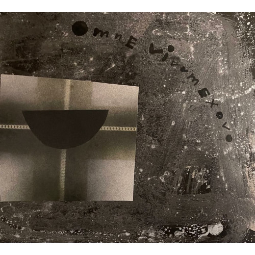 Картина Omne , художник Толстая Наталья Олеговна