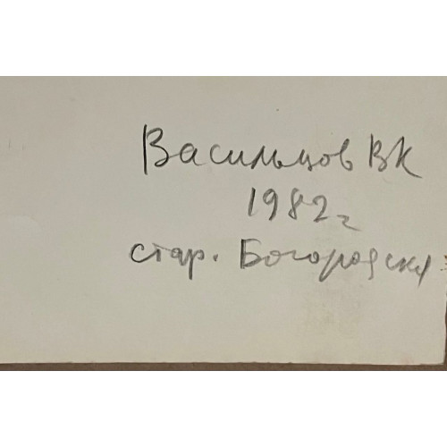 Картина Она вошла в дверь, художник Васильцов Владимир Константинович