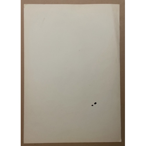 Картина Графичное действие, художник Смирнов Алексей Глебович (фон Раух) 