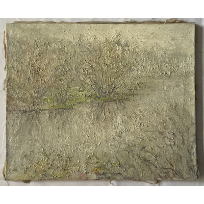 Светлый день