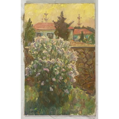 Куст сирени