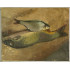 Картина Речной улов, художник Гапоненко Тарас Гурьевич