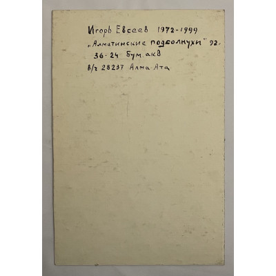 Алматинские подсолнухи