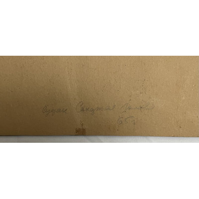 Судак. Сахарная голова