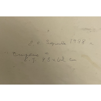 Сирень 1988 год