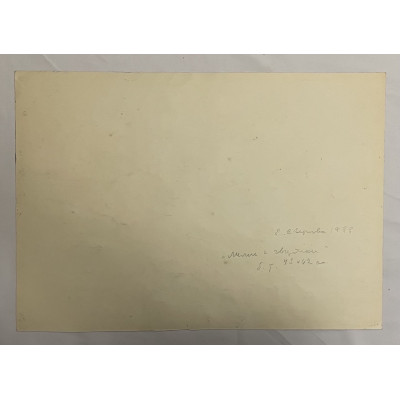 Лилии и гвоздики