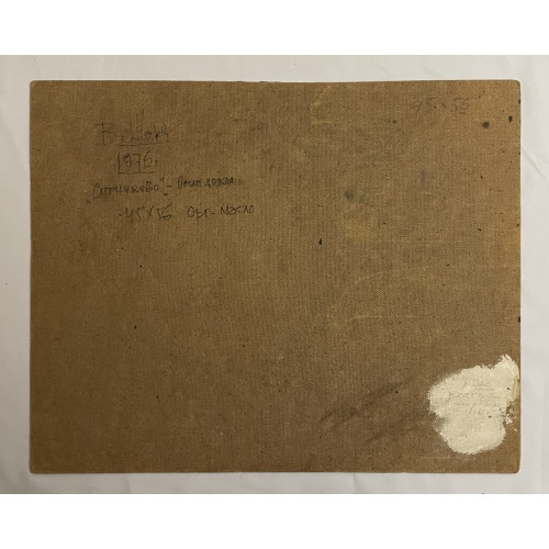 Картина Ситниково. После дождя, художник Шорц Владимир Антонович 