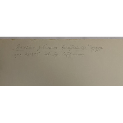 Весенние работы на виноградниках