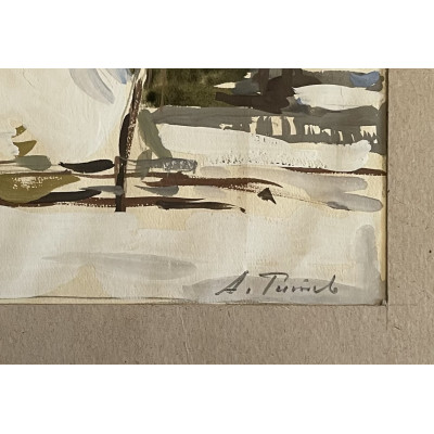 По снежному покрову на повозке