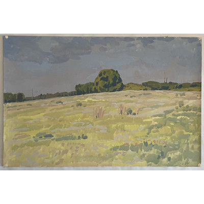 Золотистое поле. Шум травы.