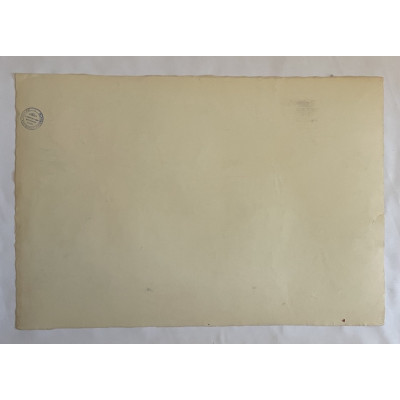 Горшки с цветами на подоконнике