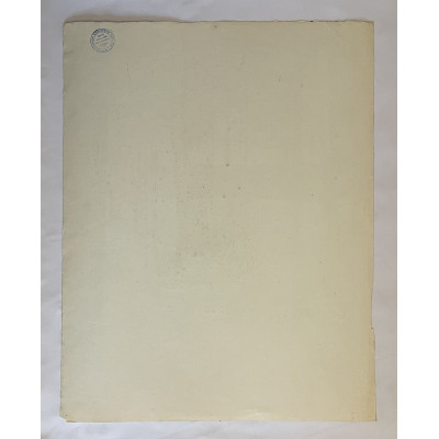 Тихая тропинка среди пения птиц