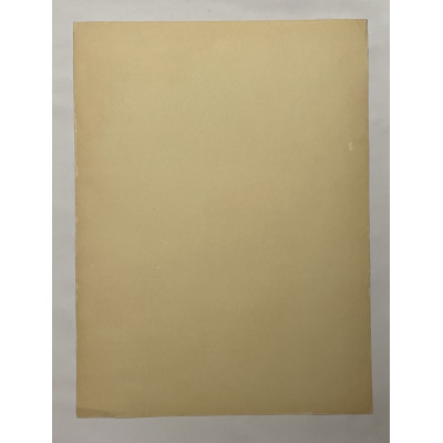 Прекрасная девушка позирует рядом с цветами