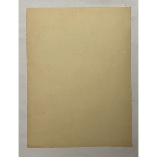 Картина Прекрасная девушка позирует рядом с цветами, художник Горшман Мендель Хаимович