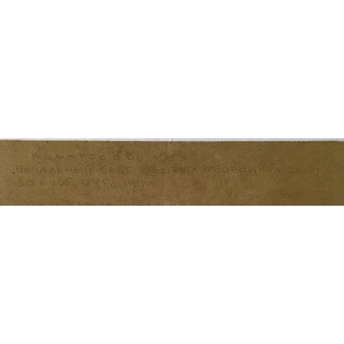 Картина Печальный свет забытых творений, художник Комаров Валерий Владимирович