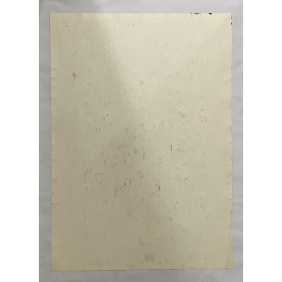 Приятельское лицо