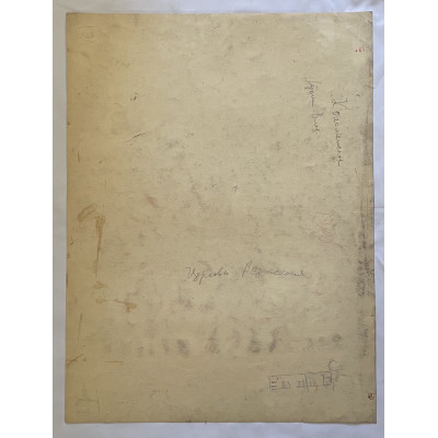 Коломенское в зимнюю пору