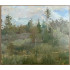 Картина Белорусский пейзаж, художник Бялыницкий-Бируля Витольд Каэтанович