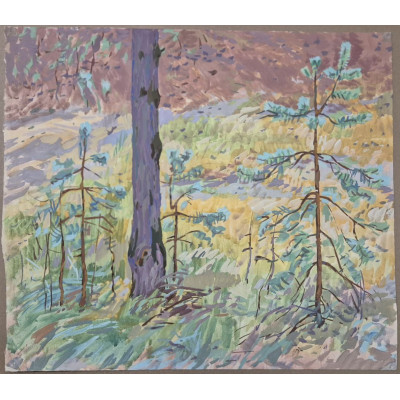 Солнечная поляна в лесу