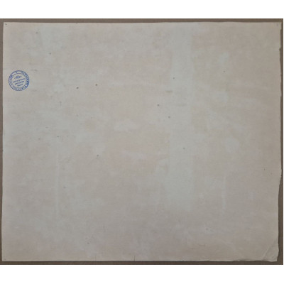 Солнечная поляна в лесу