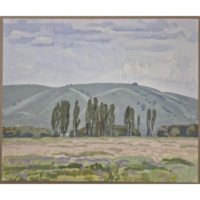 Потемнело перед дождем