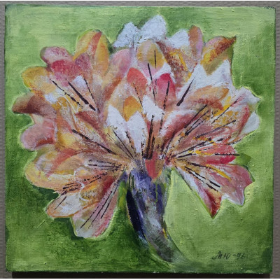 Полевая гвоздика