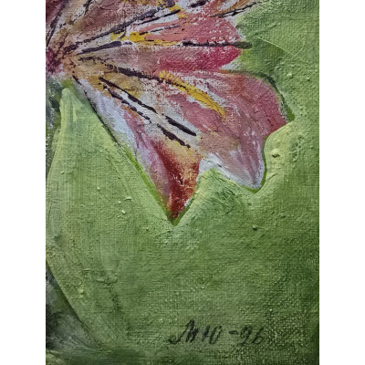 Полевая гвоздика