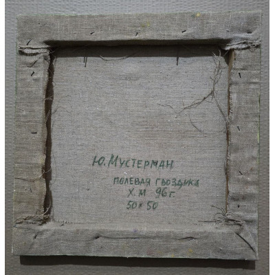 Полевая гвоздика