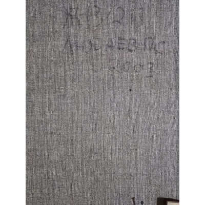 На хоккейном матче